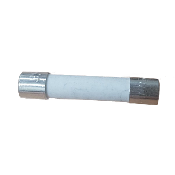 10 AMP CERAMIC FUSE