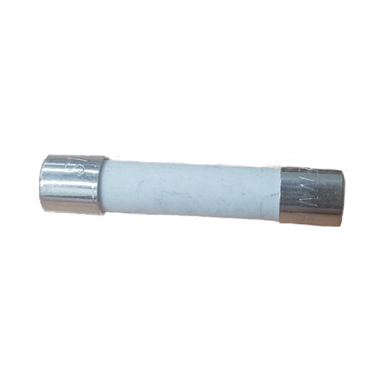 10 AMP CERAMIC FUSE